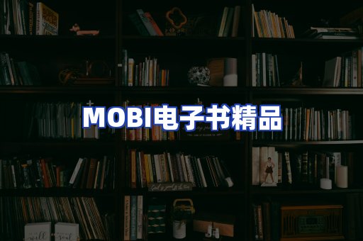 外文电子书产品